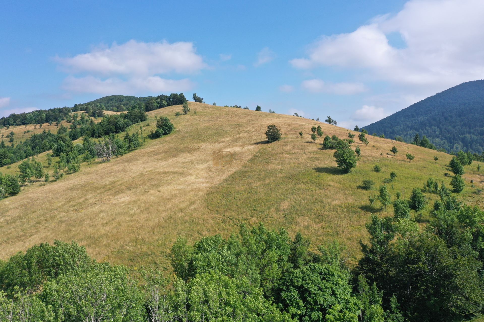 Fotografija