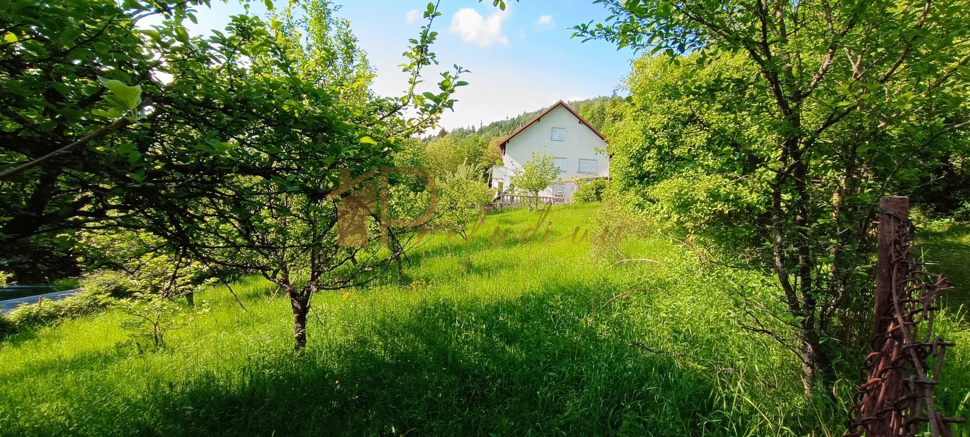 Fotografija