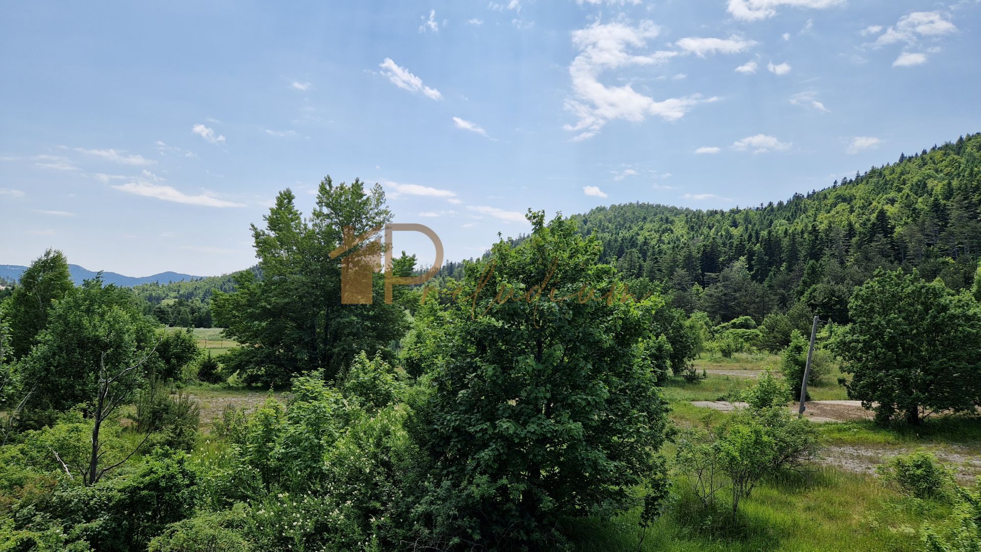 Fotografija