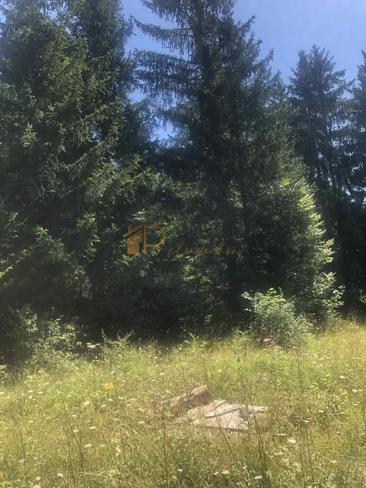 Makov Hrib, Čabar – građevinsko zemljište 547 m², idealno za kuću za odmor - cover