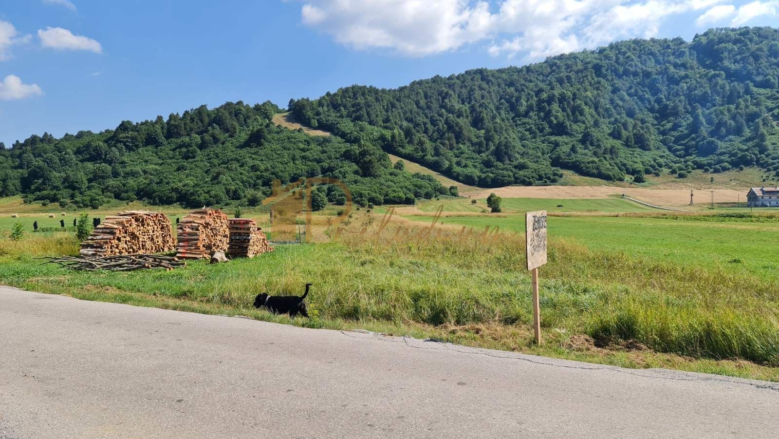 Fotografija