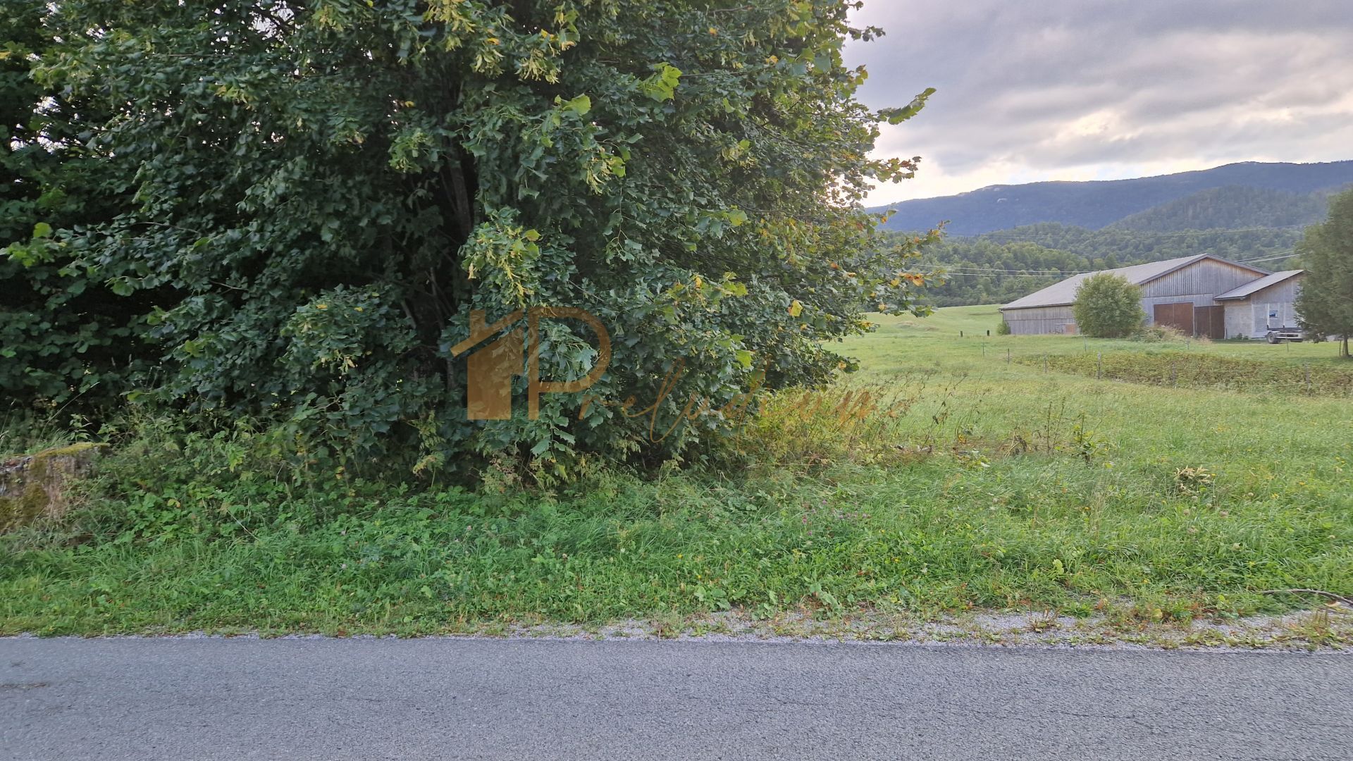 Fotografija