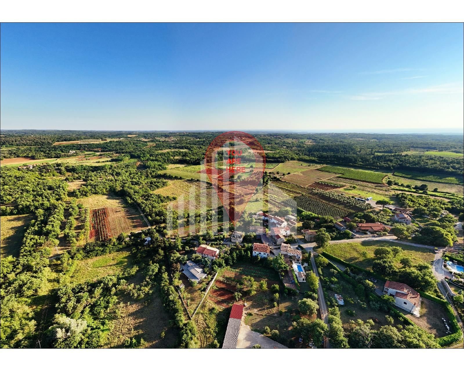 Fotografija