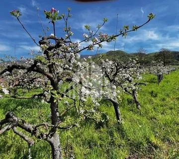 Prodaja poljoprivrednog zemljišta, 4328m2, K.O. Donja Bistra - cover