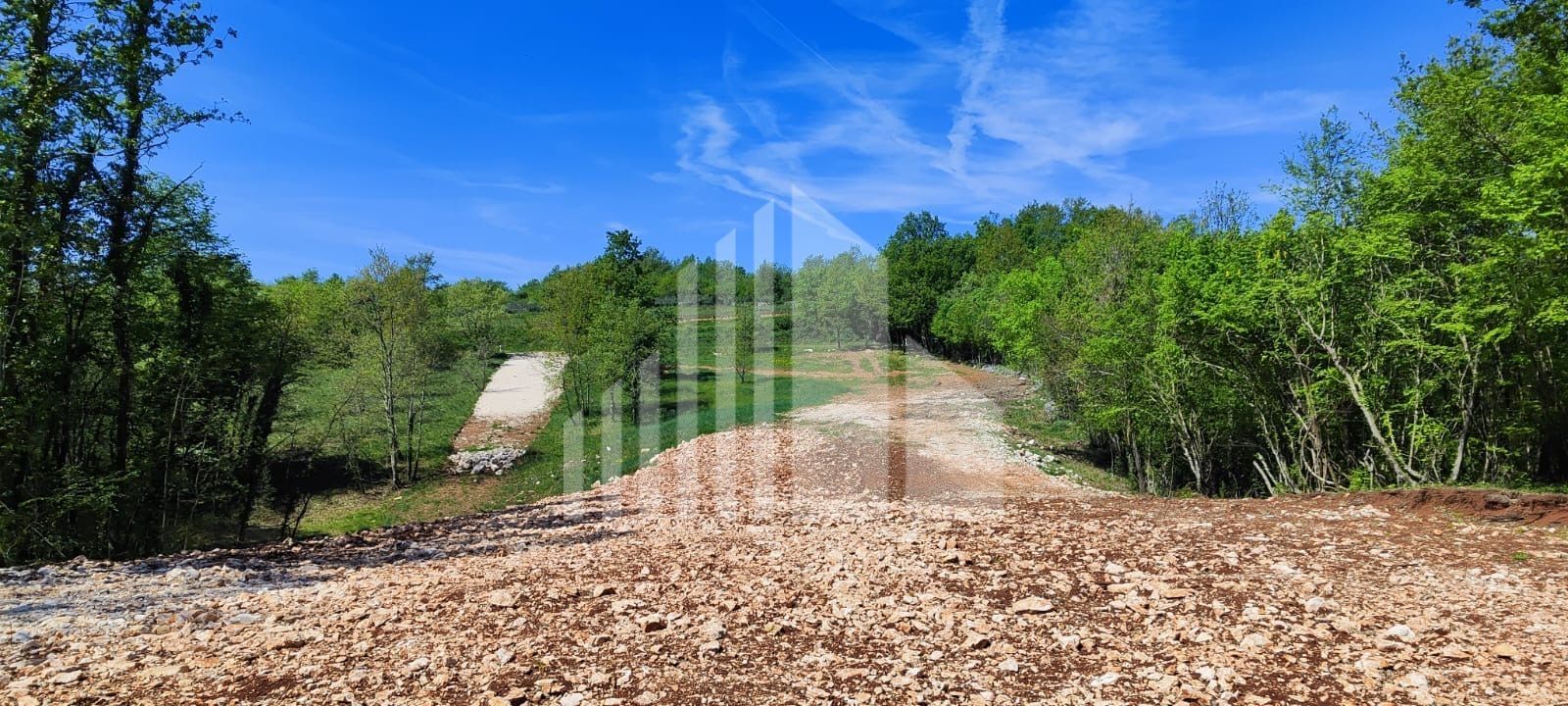 Fotografija