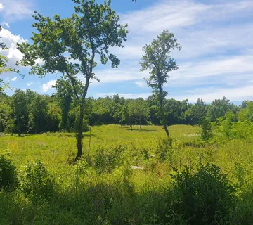 Prodaja, Medvidići, građevinsko zemljište 802m2, Z-653 - cover