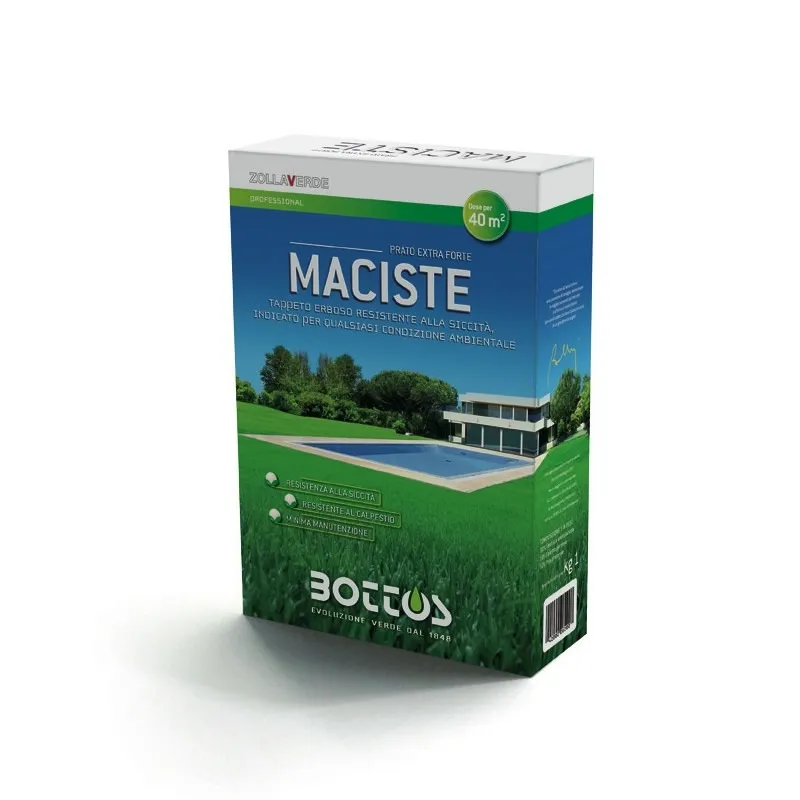 Bottos MACISTE - cover