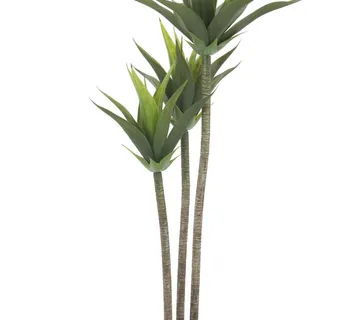 EUROPALMS Yucca, 3 trunks, 125cm - cover