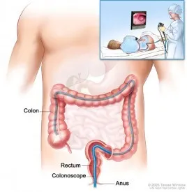 POLIKLINIKA DUVNJAK - Specijalistički gastroenterološki pregled - Zagreb