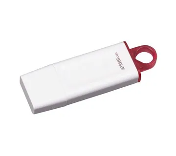 MEM UFD 256GB DTX White KIN KC-U2G256-5R - cover