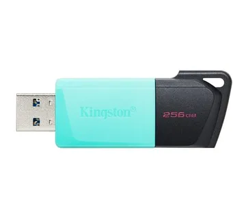 MEM UFD 256GB DTXM KIN - cover