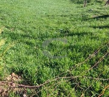 ZEMLJIŠTE, GRAĐEVINSKO, GORNJE JELENJE, 500 M2 - cover