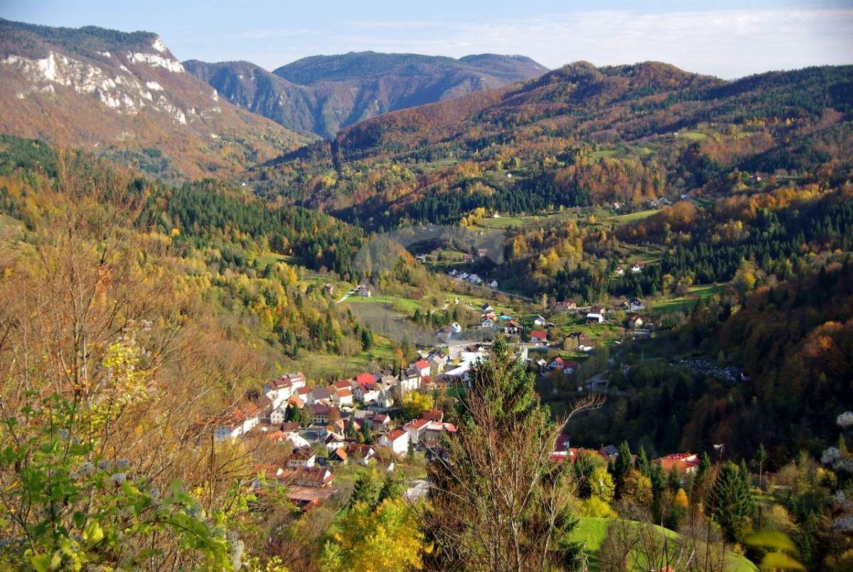 Fotografija