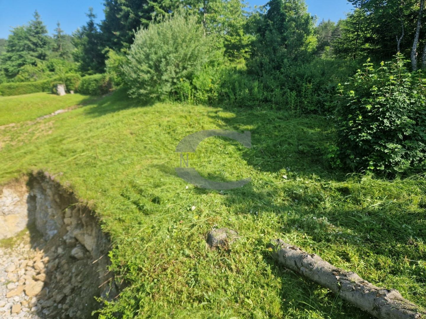 Fotografija