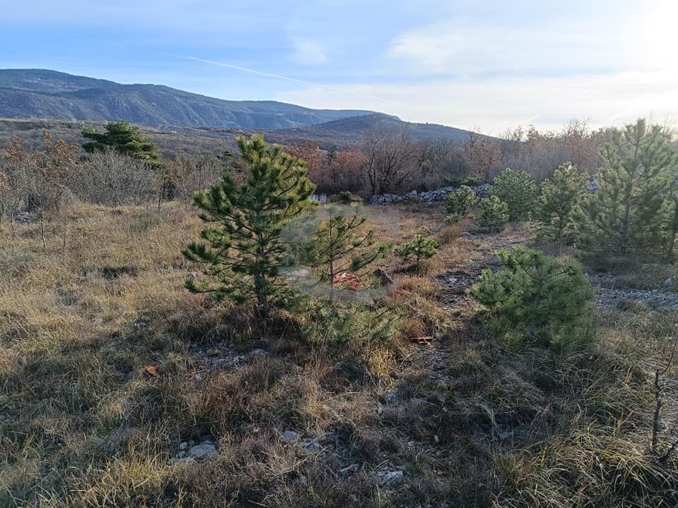Fotografija