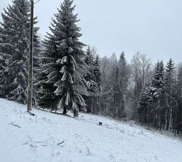 ZEMLJIŠTE, GRAĐEVINSKO, RAVNA GORA, 3.980 M2  - cover