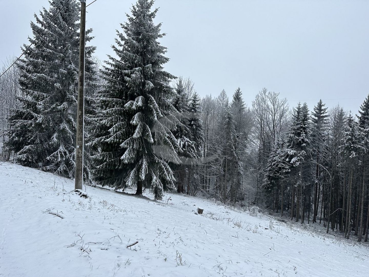 Fotografija