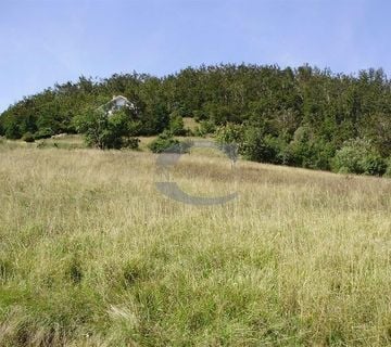 ZEMLJIŠTE, POLJOPRIVREDNO, CRNI LUG, 16.000 M2 - cover