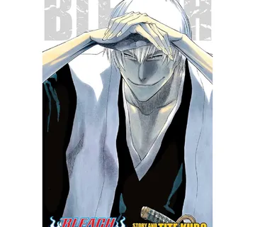 Bleach 3-in-1 vol. 7 - cover
