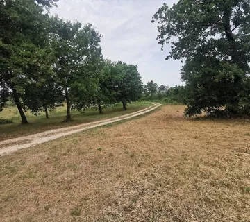 TAR-STANCIJA BLEK ZEMLJIŠTE NA PRODAJU - cover