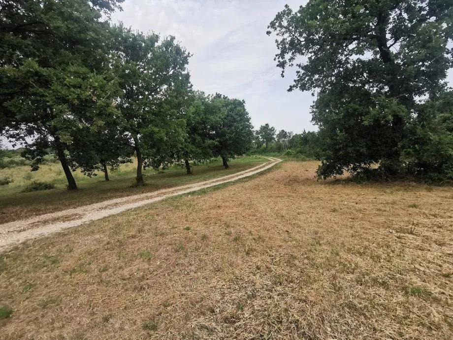 TAR-STANCIJA BLEK ZEMLJIŠTE NA PRODAJU - cover