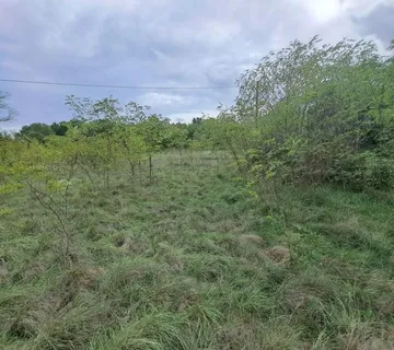 ŠUMBER- 8 GRAĐEVINSKIH PARCELA NA PRODAJU - cover