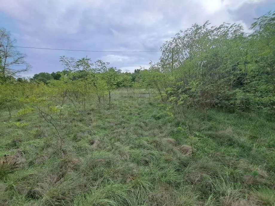 ŠUMBER- 8 GRAĐEVINSKIH PARCELA NA PRODAJU - cover