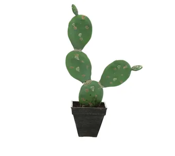 EUROPALMS Prickly pear cactus, 35cm - cover