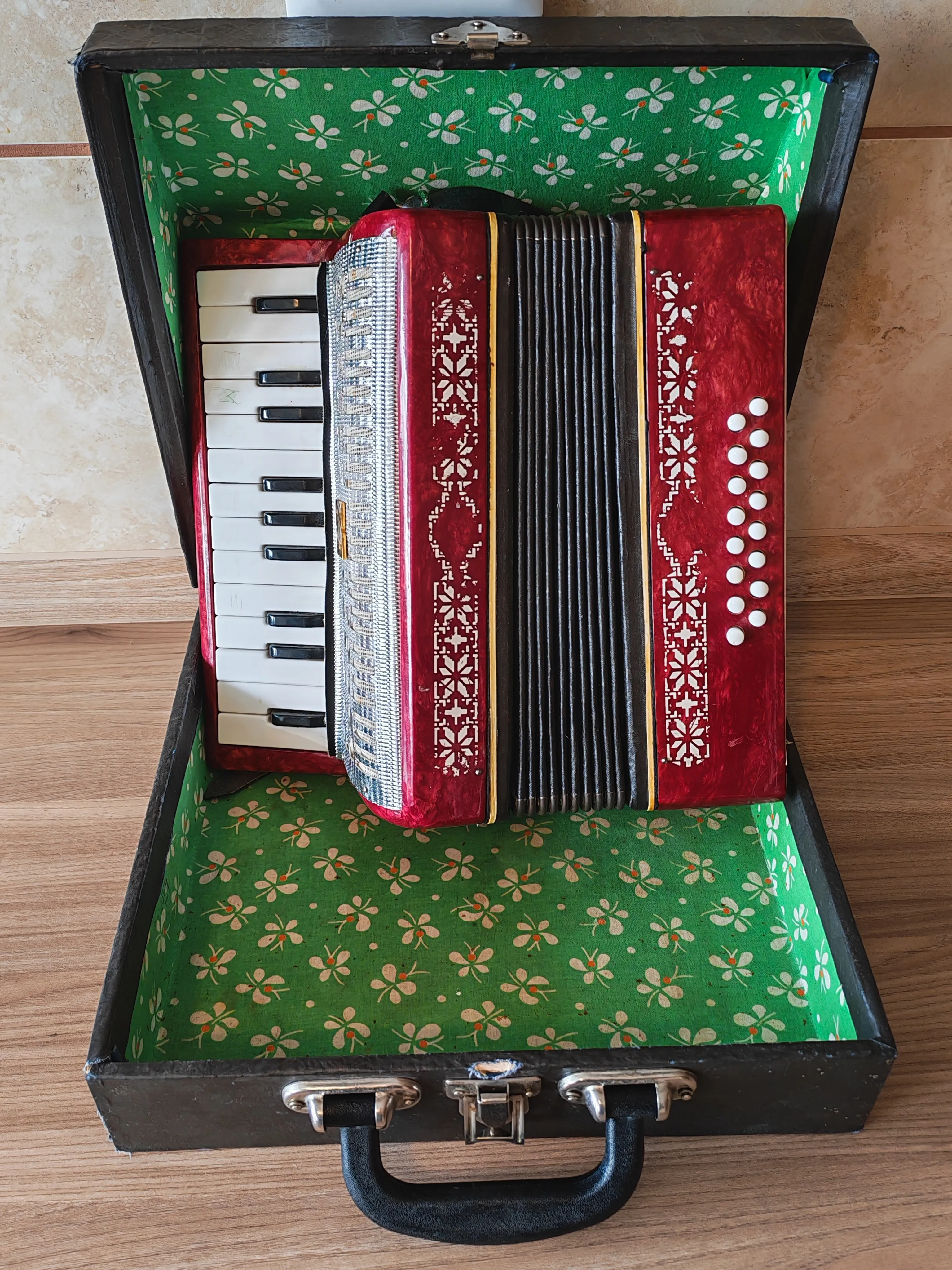 Dječja harmonika Malbiš 16 basova - cover