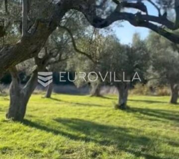 Istra, Galižana, građevinsko zemljište 3600 m2 - cover