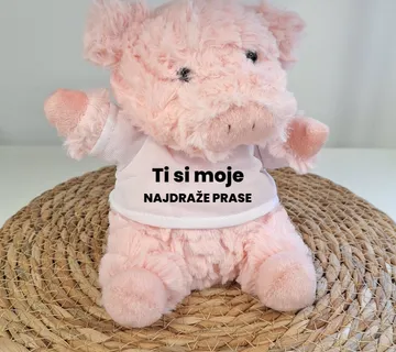 Plišano prase - cover