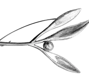 Broš Maslina - cover