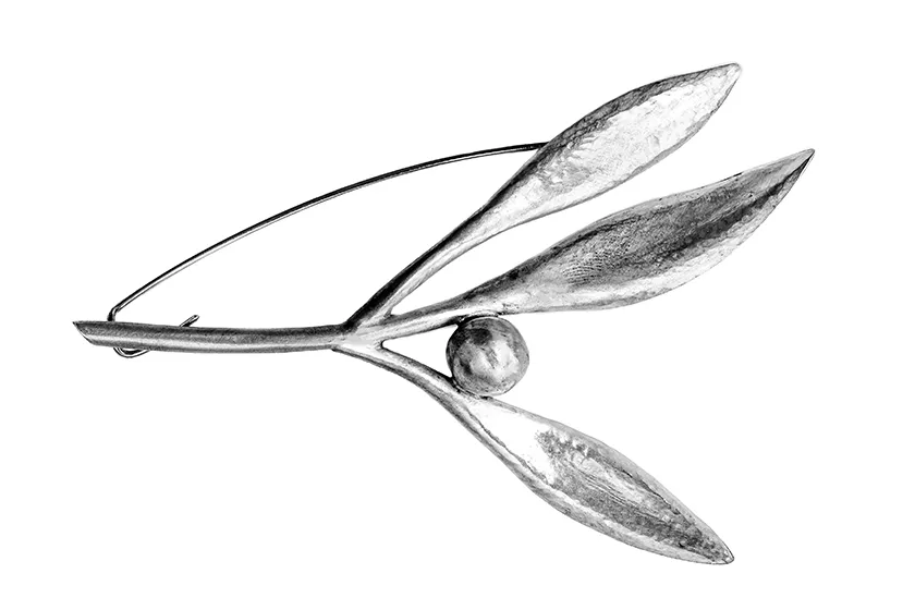 Broš Maslina - cover