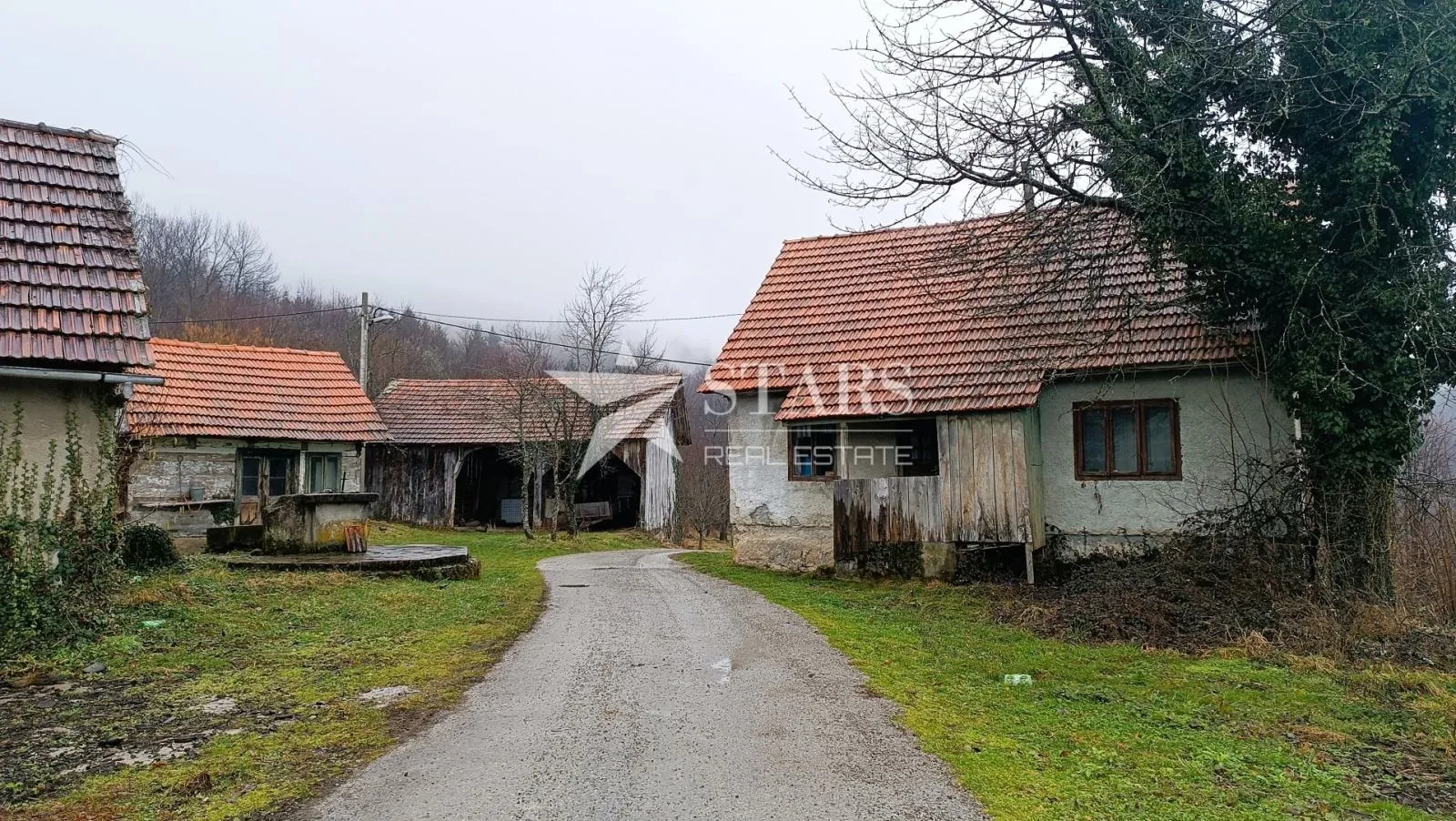 Fotografija