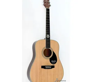 AOSEN D420GN - cover