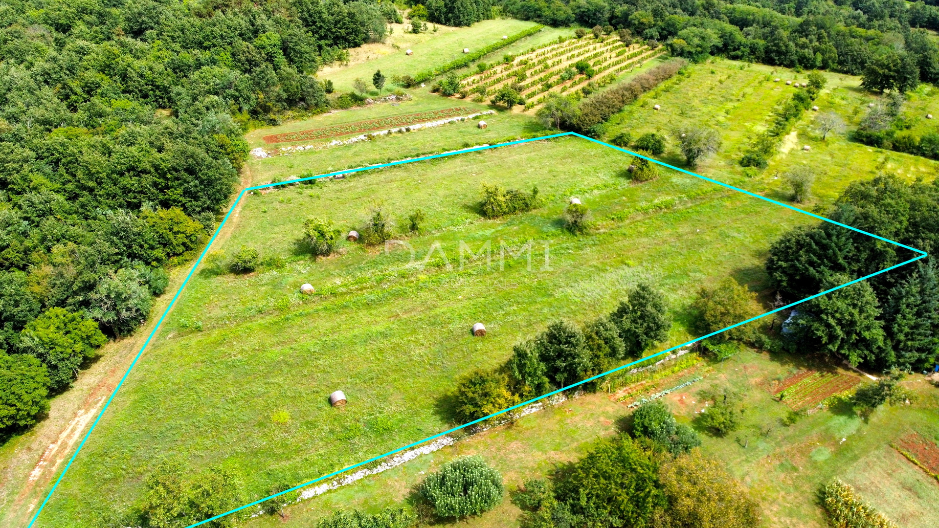 ISTRA, GRAČIŠĆE - Veliko građevinsko zemljište 7330m2 - cover