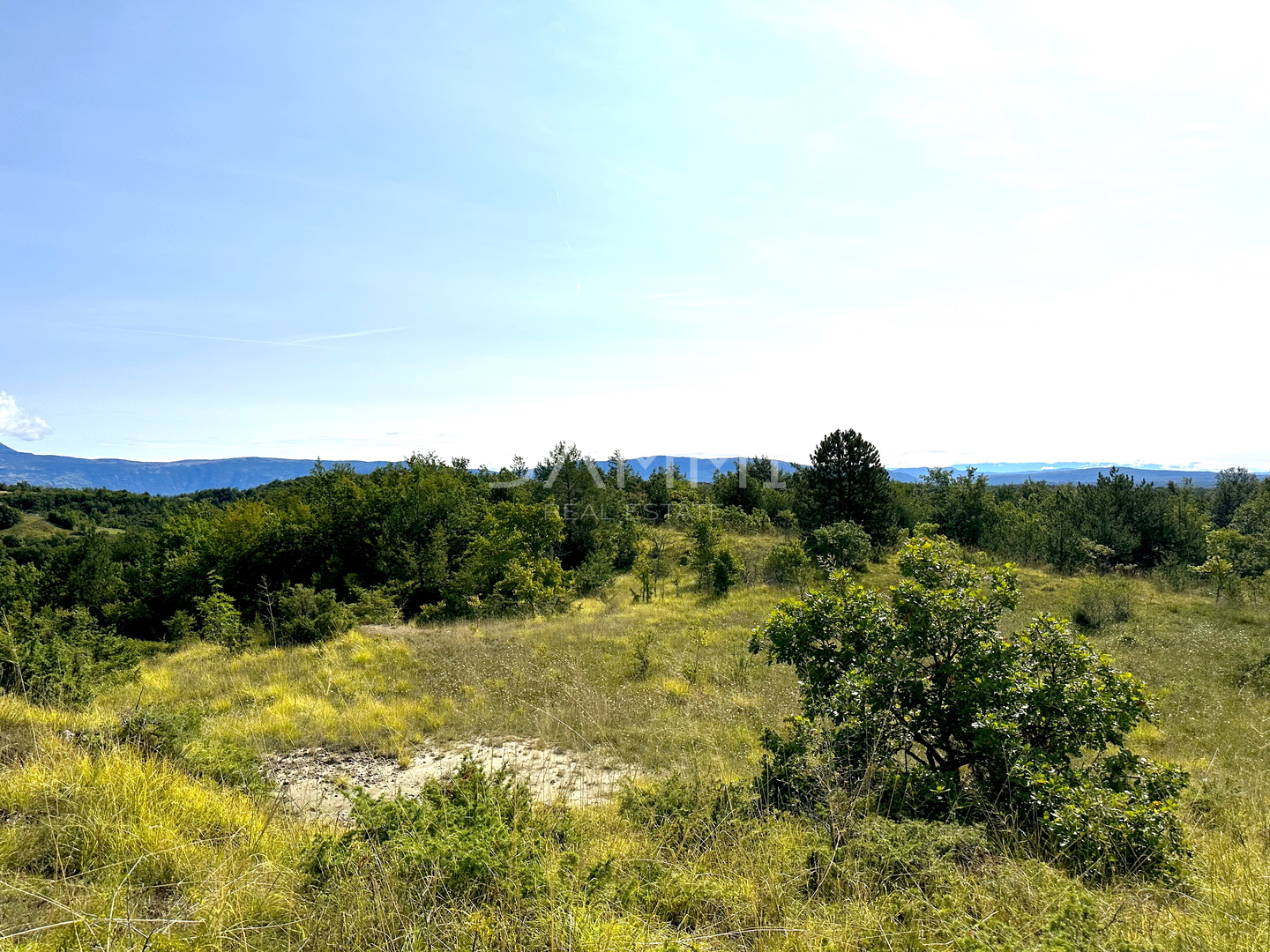 ISTRA, GRAČIŠĆE - Poljoprivredno zemljište 50.860m2 u komadu s otvorenim pogledom - cover