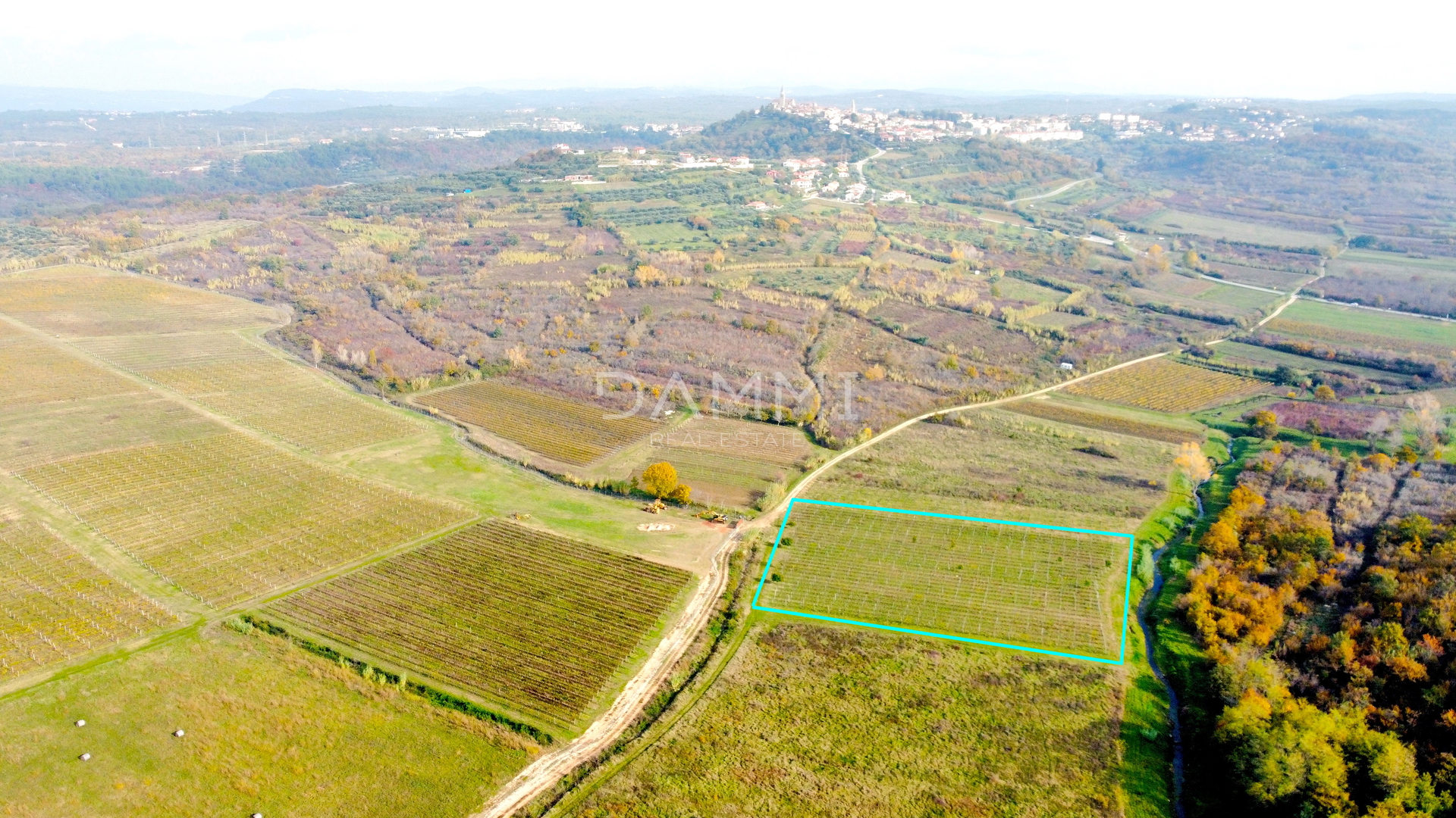 ISTRA, BUJE - Savršen vinograd na odličnoj lokaciji 9350 m2 - cover