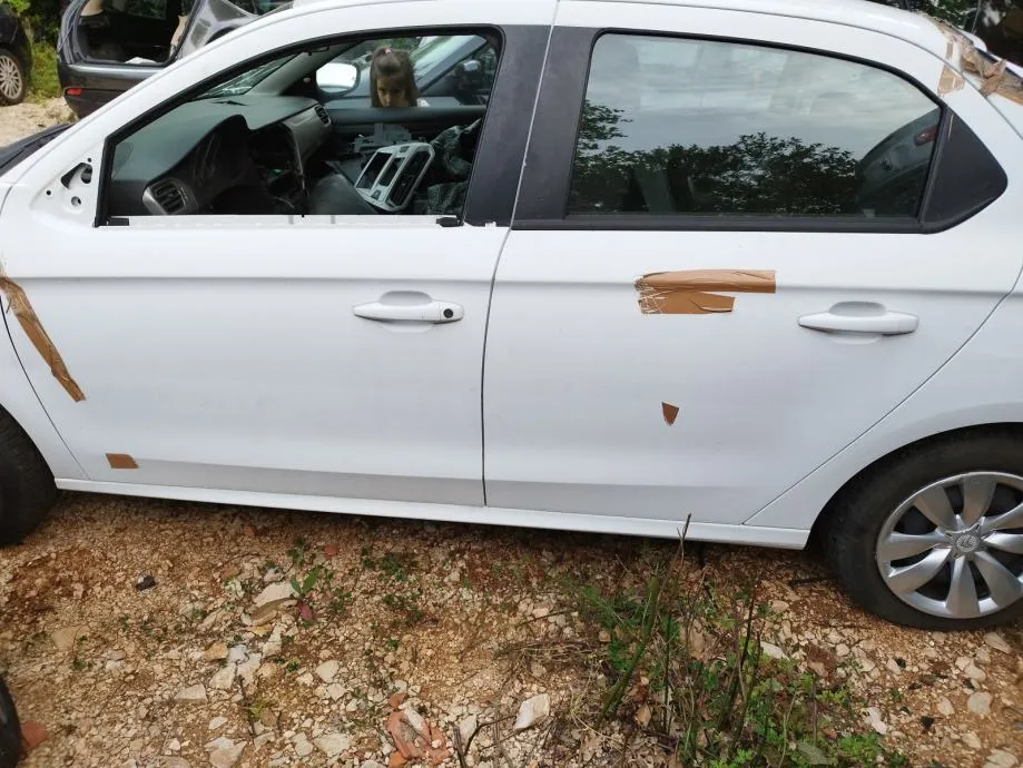 CITROEN C-ELYSEE 17 VRATA - cover