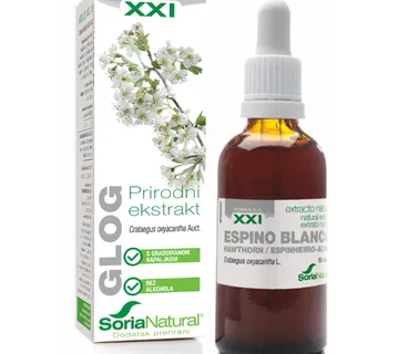 Glog XXI ekstrakt - cover