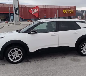 Citroen C4 Cactus 2019 g.  - cover