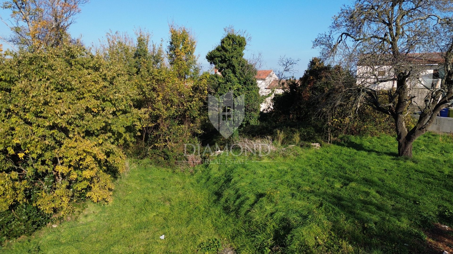 Fotografija