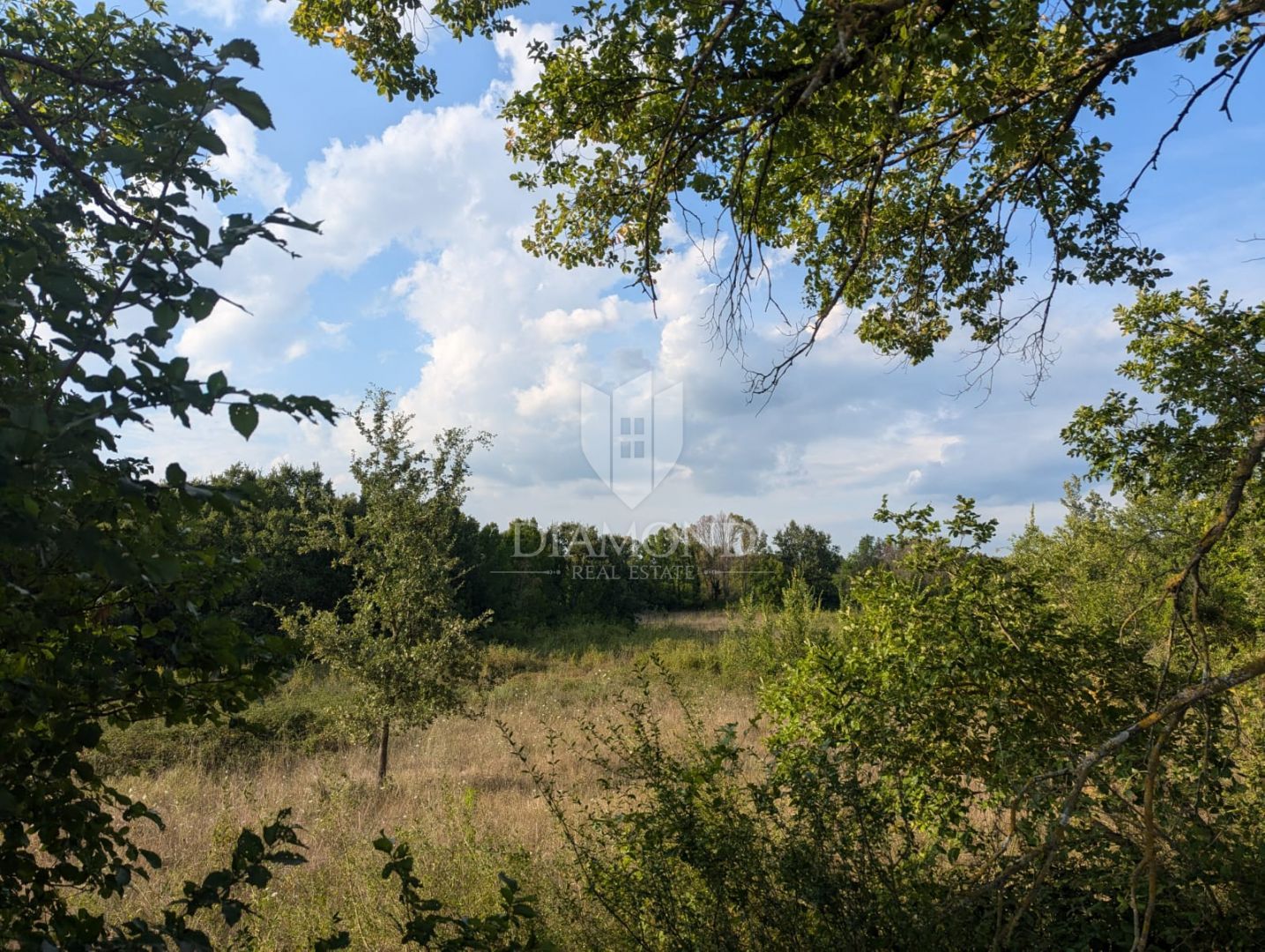 Fotografija