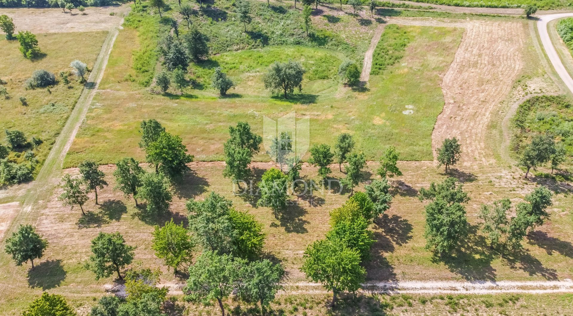 Fotografija