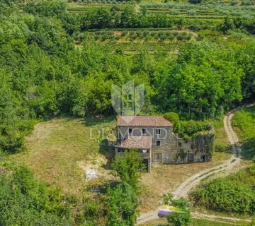 Motovun okolica, kuća za adaptaciju okružena prirodom - cover