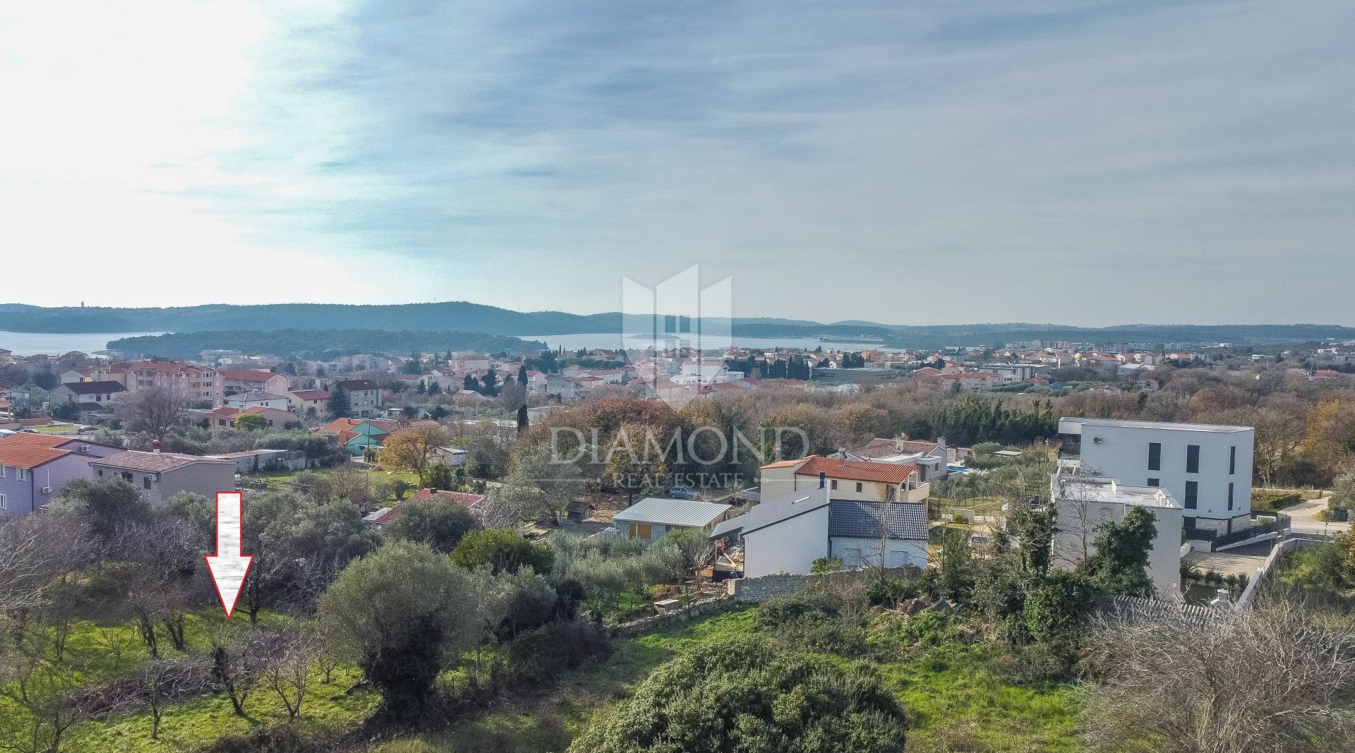 Fotografija