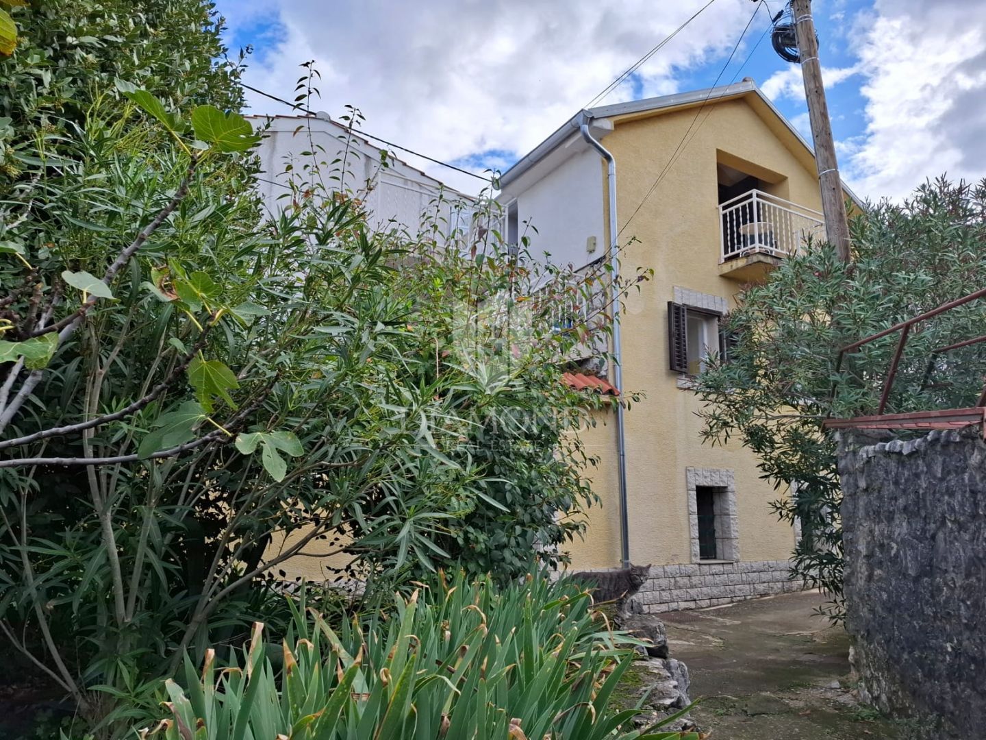 Fotografija