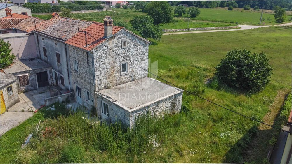 Fotografija