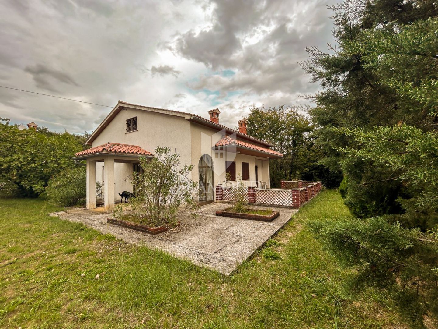 Fotografija