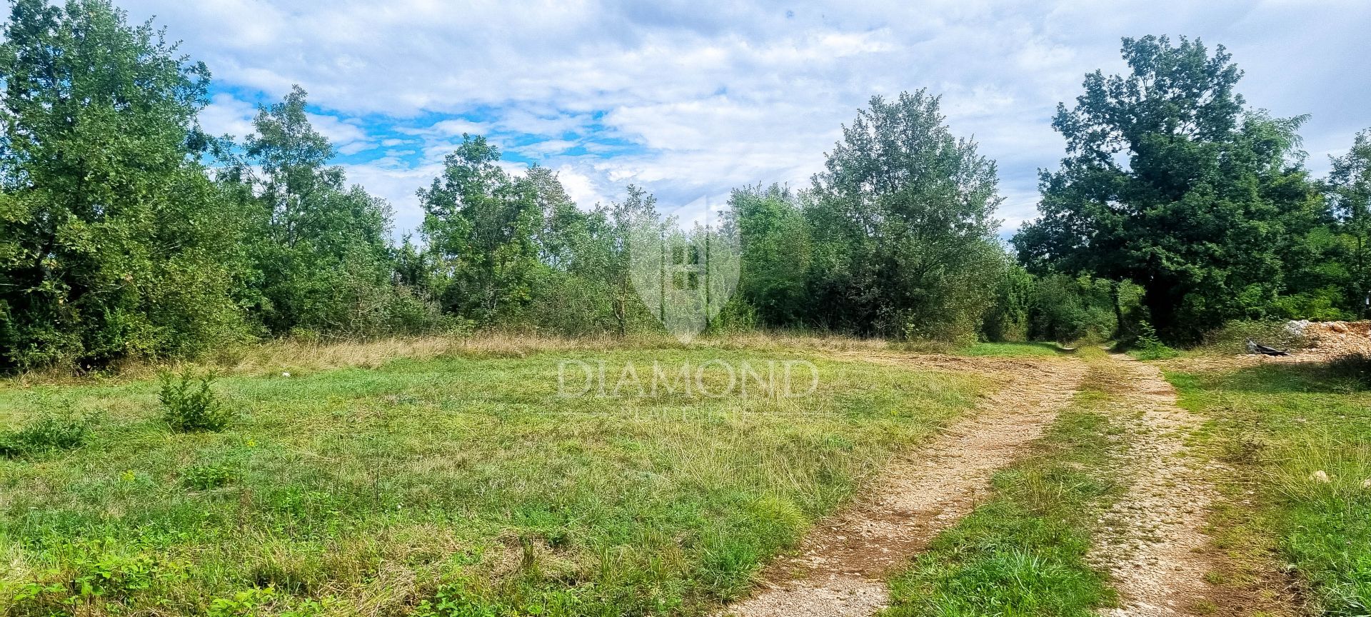 Fotografija